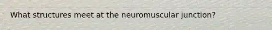 What structures meet at the neuromuscular junction?