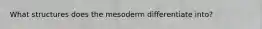 What structures does the mesoderm differentiate into?