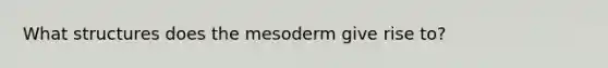 What structures does the mesoderm give rise to?