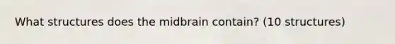 What structures does the midbrain contain? (10 structures)