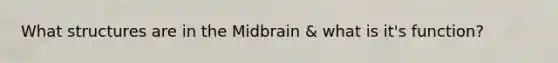 What structures are in the Midbrain & what is it's function?