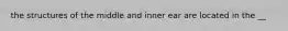 the structures of the middle and inner ear are located in the __