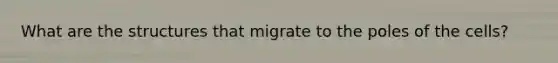 What are the structures that migrate to the poles of the cells?