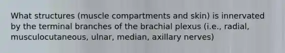 What structures (muscle compartments and skin) is innervated by the terminal branches of the brachial plexus (i.e., radial, musculocutaneous, ulnar, median, axillary nerves)