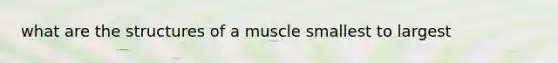 what are the structures of a muscle smallest to largest