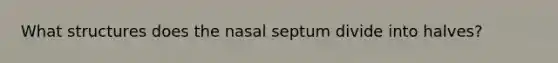 What structures does the nasal septum divide into halves?