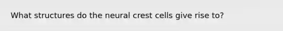 What structures do the neural crest cells give rise to?