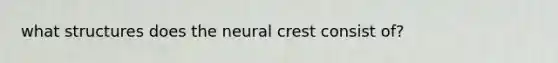 what structures does the neural crest consist of?