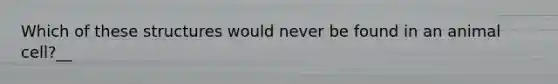 Which of these structures would never be found in an animal cell?__