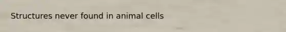 Structures never found in animal cells