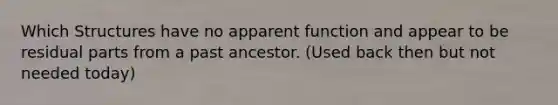 Which Structures have no apparent function and appear to be residual parts from a past ancestor. (Used back then but not needed today)