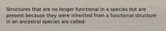 Structures that are no longer functional in a species but are present because they were inherited from a functional structure in an ancestral species are called: