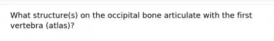 What structure(s) on the occipital bone articulate with the first vertebra (atlas)?