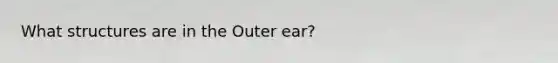 What structures are in the Outer ear?