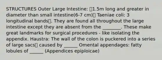 STRUCTURES Outer Large Intestine: 1.5m long and greater in diameter than small intestine(6-7 cm) Taeniae coli: 3 longitudinal bands. They are found all throughout the large intestine except they are absent from the ________. These make great landmarks for surgical procedures - like isolating the appendix. Haustra: The wall of the colon is puckered into a series of large sacs caused by ______ Omental appendages: fatty lobules of ______ (Appendices epiploicae)