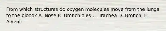 From which structures do oxygen molecules move from the lungs to <a href='https://www.questionai.com/knowledge/k7oXMfj7lk-the-blood' class='anchor-knowledge'>the blood</a>? A. Nose B. Bronchioles C. Trachea D. Bronchi E. Alveoli