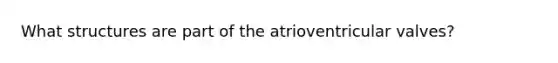 What structures are part of the atrioventricular valves?