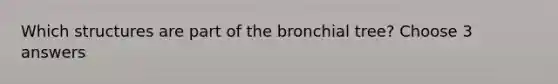 Which structures are part of the bronchial tree? Choose 3 answers