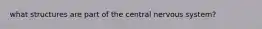 what structures are part of the central nervous system?