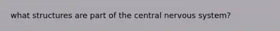 what structures are part of the central nervous system?