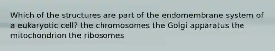 Which of the structures are part of the endomembrane system of a eukaryotic cell? the chromosomes the Golgi apparatus the mitochondrion the ribosomes