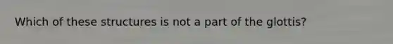 Which of these structures is not a part of the glottis?