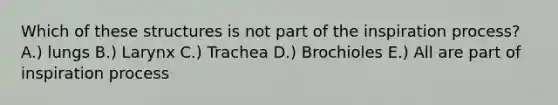 Which of these structures is not part of the inspiration process? A.) lungs B.) Larynx C.) Trachea D.) Brochioles E.) All are part of inspiration process