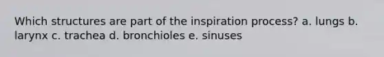 Which structures are part of the inspiration process? a. lungs b. larynx c. trachea d. bronchioles e. sinuses