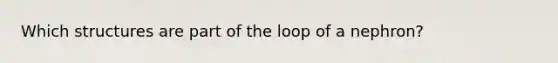 Which structures are part of the loop of a nephron?