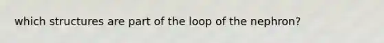 which structures are part of the loop of the nephron?