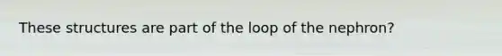 These structures are part of the loop of the nephron?