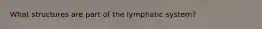 What structures are part of the lymphatic system?