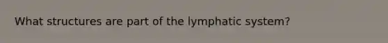 What structures are part of the lymphatic system?