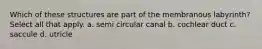 Which of these structures are part of the membranous labyrinth? Select all that apply. a. semi circular canal b. cochlear duct c. saccule d. utricle