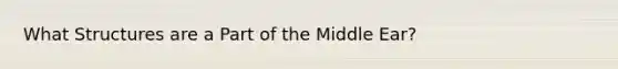 What Structures are a Part of the Middle Ear?