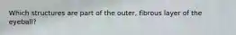 Which structures are part of the outer, fibrous layer of the eyeball?