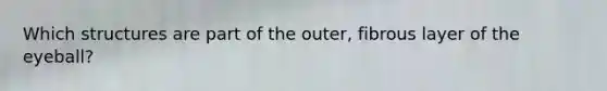 Which structures are part of the outer, fibrous layer of the eyeball?