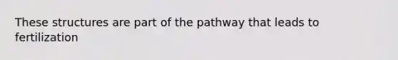 These structures are part of the pathway that leads to fertilization