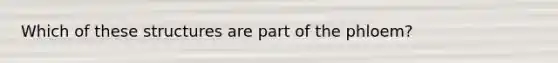 Which of these structures are part of the phloem?