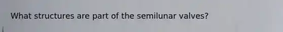 What structures are part of the semilunar valves?