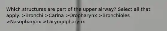 Which structures are part of the upper airway? Select all that apply. >Bronchi >Carina >Oropharynx >Bronchioles >Nasopharynx >Laryngopharynx