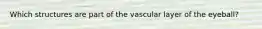 Which structures are part of the vascular layer of the eyeball?