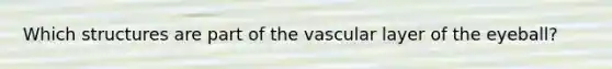 Which structures are part of the vascular layer of the eyeball?