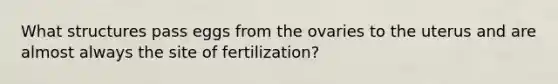 What structures pass eggs from the ovaries to the uterus and are almost always the site of fertilization?