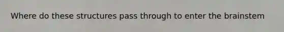 Where do these structures pass through to enter the brainstem