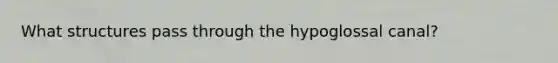 What structures pass through the hypoglossal canal?