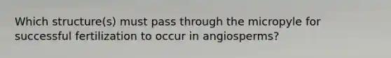 Which structure(s) must pass through the micropyle for successful fertilization to occur in angiosperms?