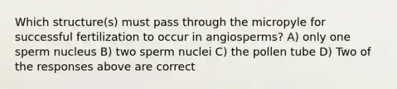 Which structure(s) must pass through the micropyle for successful fertilization to occur in angiosperms? A) only one sperm nucleus B) two sperm nuclei C) the pollen tube D) Two of the responses above are correct