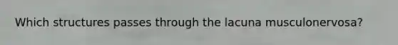 Which structures passes through the lacuna musculonervosa?