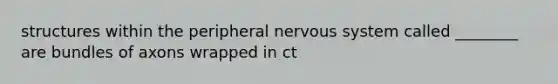 structures within the peripheral nervous system called ________ are bundles of axons wrapped in ct